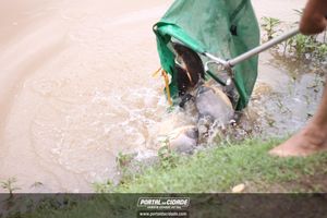 Soltura de Peixes da 7&ordm; Torneio de Pesca 