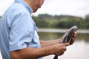 Soltura de Peixes da 7&ordm; Torneio de Pesca 