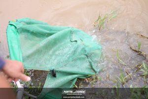 Soltura de Peixes da 7&ordm; Torneio de Pesca 
