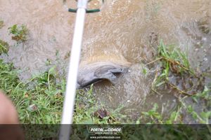 Soltura de Peixes da 7&ordm; Torneio de Pesca 