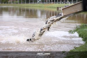 Soltura de Peixes da 7&ordm; Torneio de Pesca 