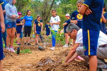 Estudantes de Andradas participam de plantio de mudas de árvores