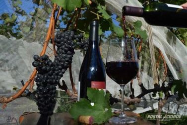ACIRA CDL faz cobrança ao estado sobre alíquota sobre os vinhos de Andradas