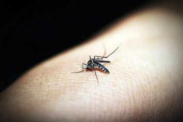 Andradas ultrapassa a marca de 4,5 mil casos prováveis de dengue em 2024