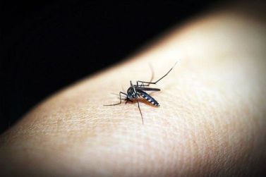 Andradas chega a 5,6 mil casos prováveis de dengue somente em 2024