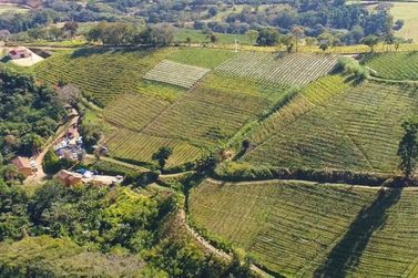 Andradas &eacute; destaque como destino para curtir bons vinhos e paisagens
