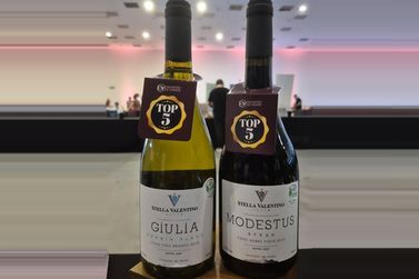 Stella Valentino tem bebidas em destaque no &ldquo;Encontro de Vinhos&rdquo;