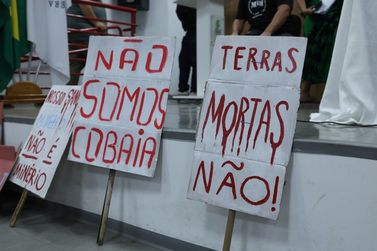 Ambientalistas cobram maior atua&ccedil;&atilde;o do Estado em debate sobre terras raras na regi&atilde;o