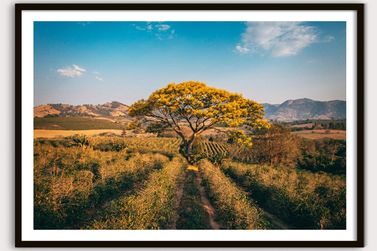 Andradas ganha destaque em exposi&ccedil;&atilde;o fotogr&aacute;fica sobre cidades mineiras