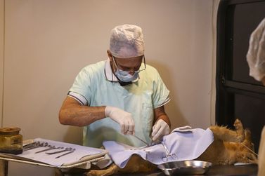 Cadastro para campanha de castra&ccedil;&atilde;o gratuita de c&atilde;es e gatos &eacute; aberto em Andradas