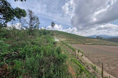 S&iacute;tio &agrave; venda - 