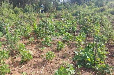 Terreno &agrave; venda - 55902m&sup2; - Zona Rural
