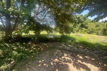 Terreno &agrave; venda - 24000m&sup2; - Jardim Rio Branco