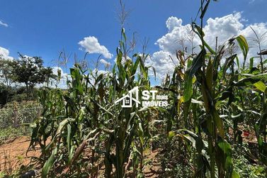 Terreno &agrave; venda - 20000m&sup2; - Zona Rural