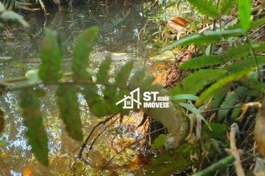 Terreno &agrave; venda - 55902m&sup2; - Zona Rural