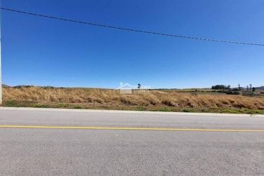 Terreno &agrave; venda - 1000m&sup2; - Quinta das Flores