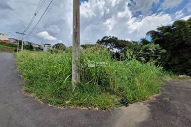 Terreno &agrave; venda - Pirapitinga