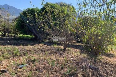 Terreno &agrave; venda - 1500m&sup2; - Vila Mosconi