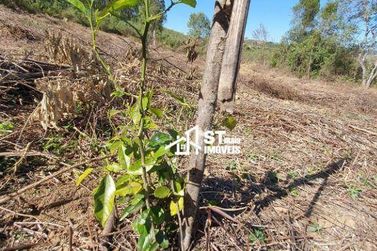 Terreno &agrave; venda - 55902m&sup2; - Zona Rural