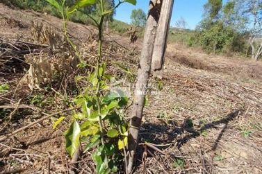 Terreno &agrave; venda - 55902m&sup2; - Zona Rural