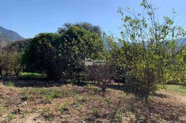 Terreno &agrave; venda - 1500m&sup2; - Vila Mosconi