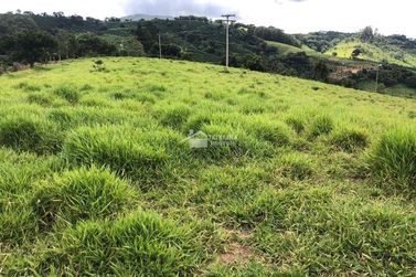 Terreno &agrave; venda - 29500m&sup2; - Zona Rural