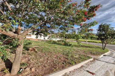 Terreno &agrave; venda - 250m&sup2; - Jardim Alto da Bela Vista
