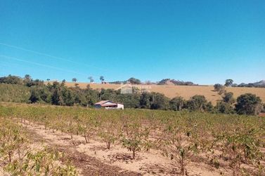 Terreno &agrave; venda - 1000m&sup2; - Centro