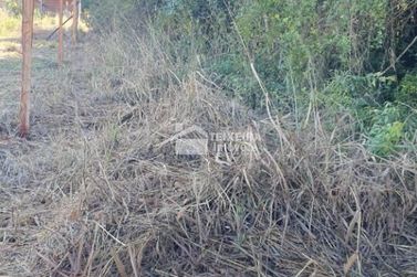 Terreno &agrave; venda - 55902m&sup2; - Zona Rural