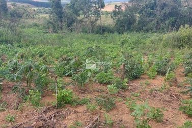 Terreno &agrave; venda - 55902m&sup2; - Zona Rural