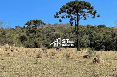 Terreno &agrave; venda - 90000m&sup2; - Zona Rural