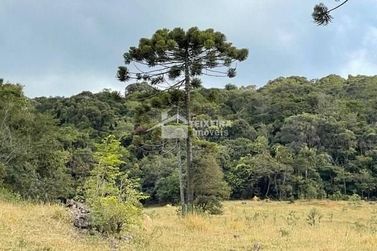 Terreno &agrave; venda - 52000m&sup2; - Zona Rural