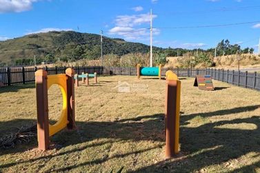 Terreno &agrave; venda - 1000m&sup2; - Quinta das Flores