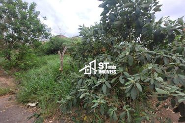 Terreno &agrave; venda - 300m&sup2; - Canto dos P&aacute;ssaros