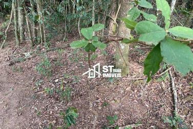 Terreno &agrave; venda - 90000m&sup2; - Zona Rural