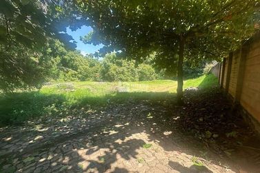 Terreno &agrave; venda - 24000m&sup2; - Jardim Rio Branco