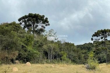 Terreno &agrave; venda - 52000m&sup2; - Zona Rural