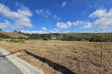 Terreno &agrave; venda - 1000m&sup2; - Quinta das Flores
