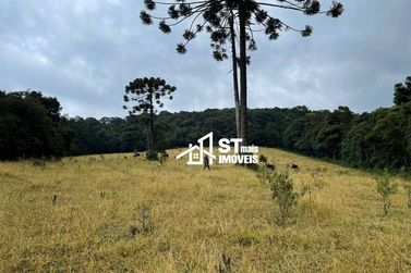 Terreno &agrave; venda - 90000m&sup2; - Zona Rural