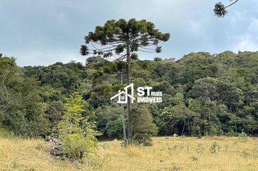 Terreno &agrave; venda - 90000m&sup2; - Zona Rural