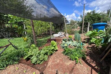 Ch&aacute;cara &agrave; venda - 500m&sup2; - Vargem do Rigoni
