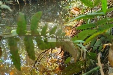 Terreno &agrave; venda - 55902m&sup2; - Zona Rural