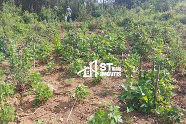 Terreno &agrave; venda - 55902m&sup2; - Zona Rural