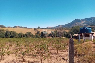Terreno &agrave; venda - 1000m&sup2; - Centro