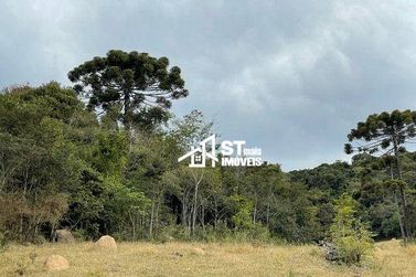 Terreno &agrave; venda - 90000m&sup2; - Zona Rural