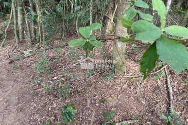 Terreno &agrave; venda - 52000m&sup2; - Zona Rural