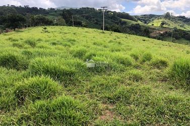 Terreno &agrave; venda - 29500m&sup2; - Zona Rural
