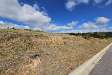 Terreno &agrave; venda - 1000m&sup2; - Quinta das Flores