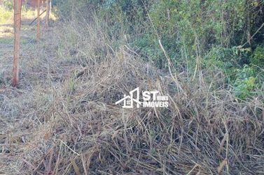 Terreno &agrave; venda - 55902m&sup2; - Zona Rural