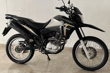 HONDA NXR